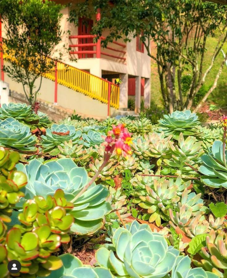 Sitio Dos Palmitos - Casa Pupunha Hotel Pedra Azul  Luaran gambar